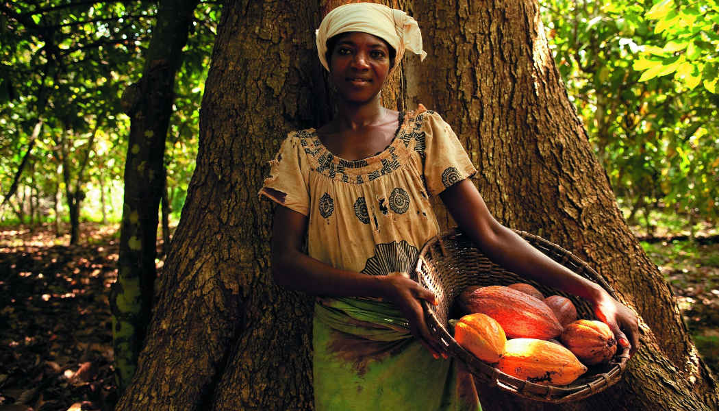 Cocoa Farmers: Helping them Gain Land Rights