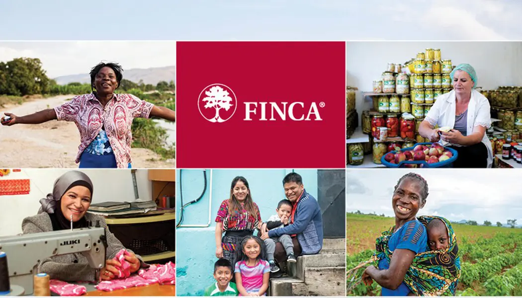 The Road to Resilience: Read Our 2019 Annual Report