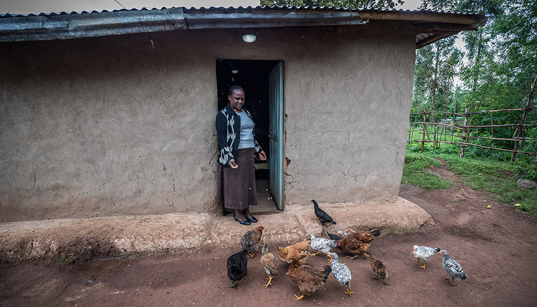 Doricah-Moige-Solar-Home-System-Feeding-Chickens-Kenya
