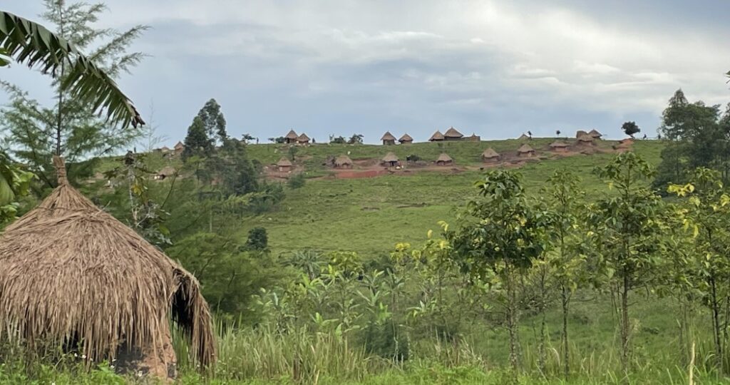 A hillside with fields and grass roofed huts in Akokoro, Uganda.